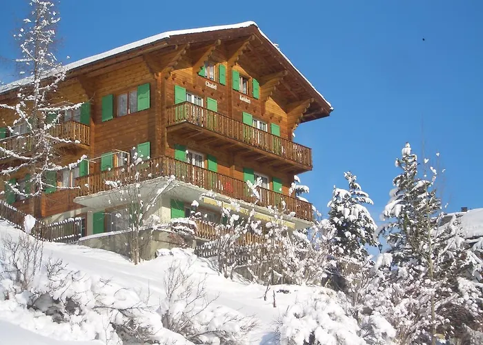 Chalet Kolibri