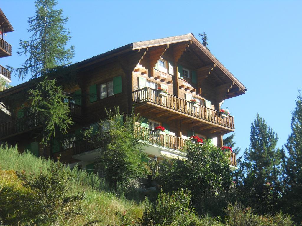 Apartment Kolibri Zermatt